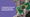 Chargeblast Expands Into Latin America, Starting With Brazil